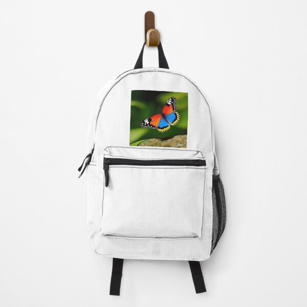 Item preview, Stunning Blue and Red Butterfly designed and sold by Basunat.