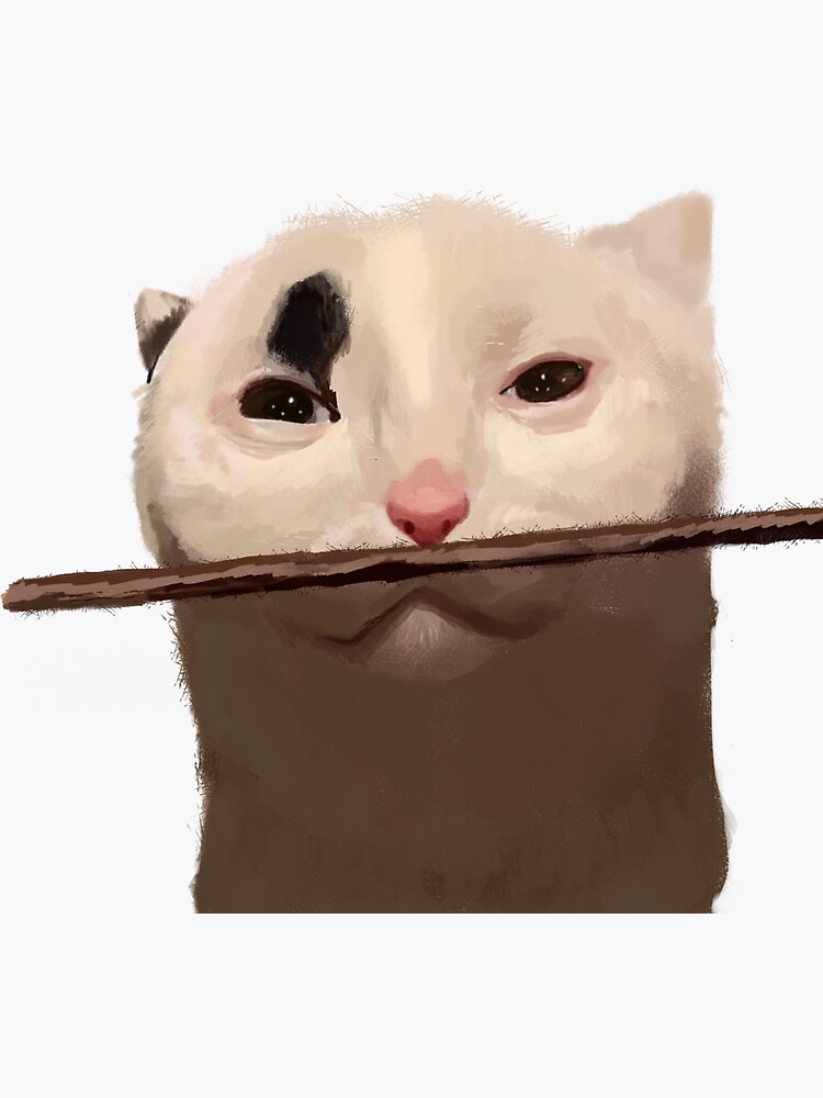white cat meme pfp｜TikTok Search