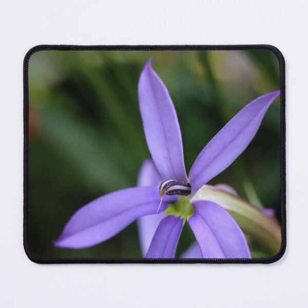 Item preview, Purple flower designed and sold by CJWoolhead.
