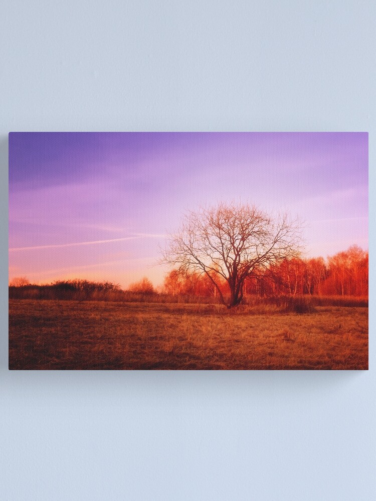 Thumbnail 1 of 3, Canvas Print, Eve of November designed and sold by Mallorn.