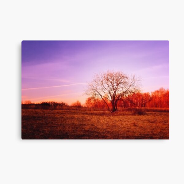 Canvas Print