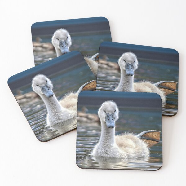 Item preview, Not such an Ugly Duckling designed and sold by CJWoolhead.