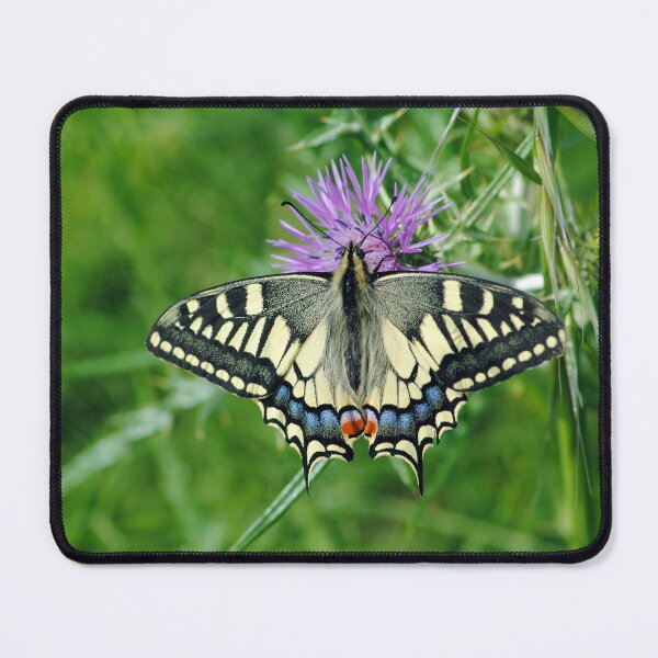 Item preview, Papilio machaon designed and sold by iago rodriguez dopico.