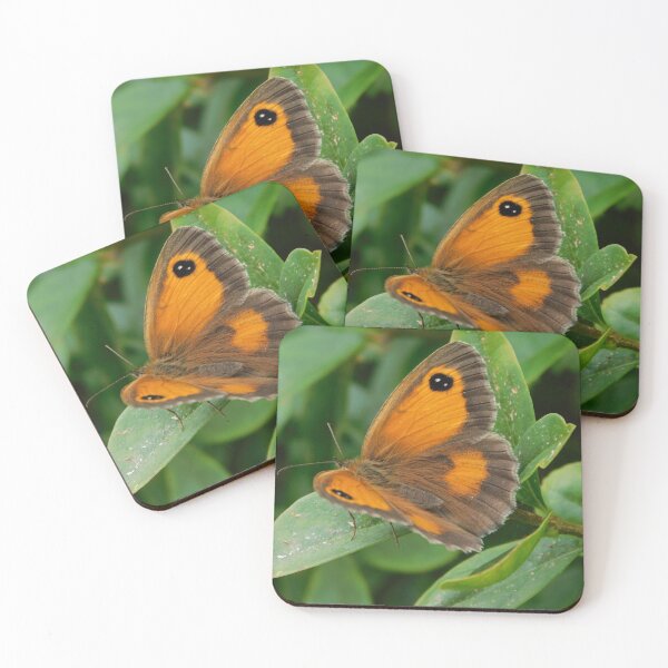 Item preview, Gatekeeper Butterfly designed and sold by Paws and Ink Art.