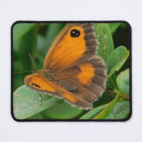 Item preview, Gatekeeper Butterfly designed and sold by Paws and Ink Art.