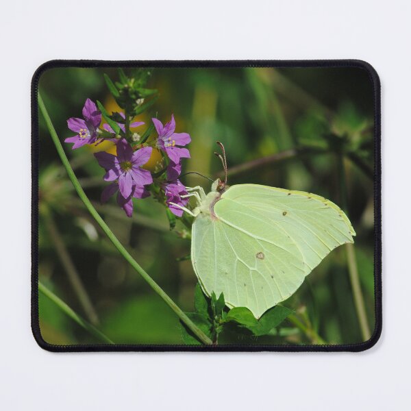 Item preview, Gonepteryx rhamni designed and sold by iago rodriguez dopico.