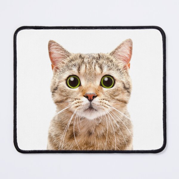 Item preview, big eyed cat designed and sold by Batartiste.