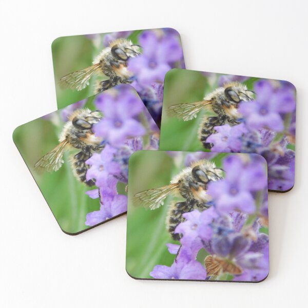 Item preview, Leaf cutter Bee collecting lavender pollen designed and sold by Paws and Ink Art.