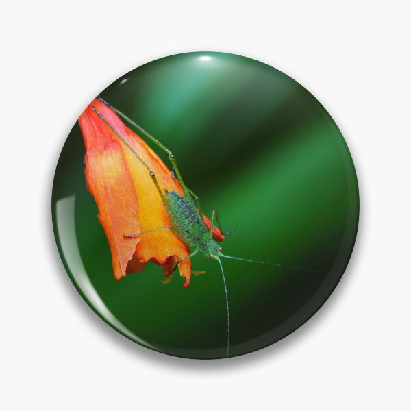 Item preview, crocosmia, insect designed and sold by iago rodriguez dopico.