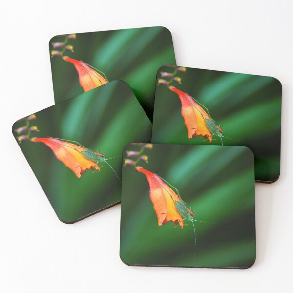 Item preview, crocosmia, insect designed and sold by iago rodriguez dopico.