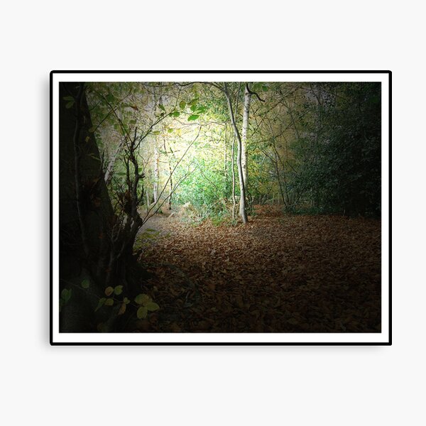 Autumn Walk - 1st Edition Canvas Print