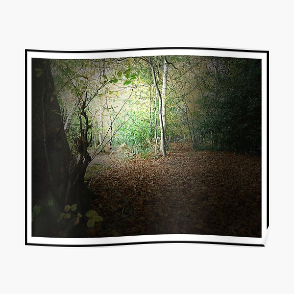 Autumn Walk - 1st Edition Poster