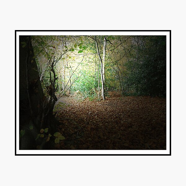 Autumn Walk - 1st Edition Photographic Print