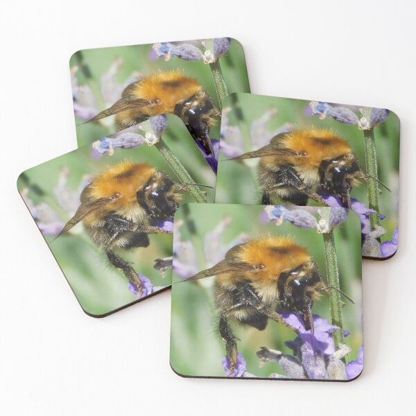 Item preview, Common Carder Bee designed and sold by Paws and Ink Art.