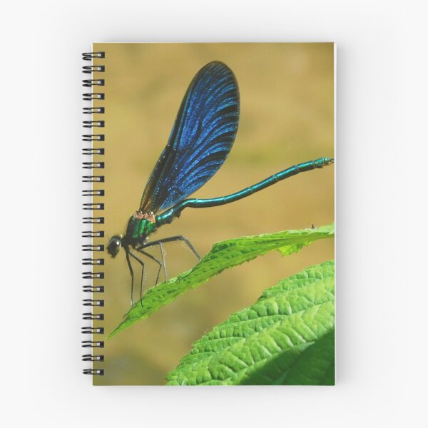 Item preview, Metallic Banded Demoiselle Damselfly  designed and sold by Paws and Ink Art.