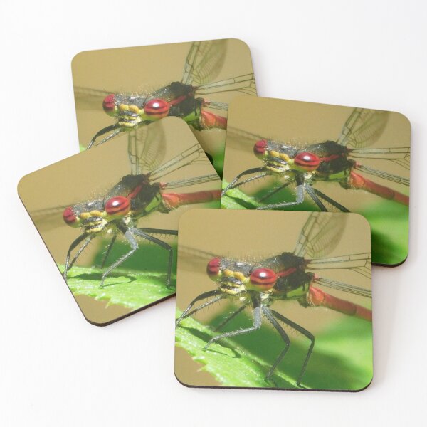 Item preview, Red Damselfly  designed and sold by Paws and Ink Art.