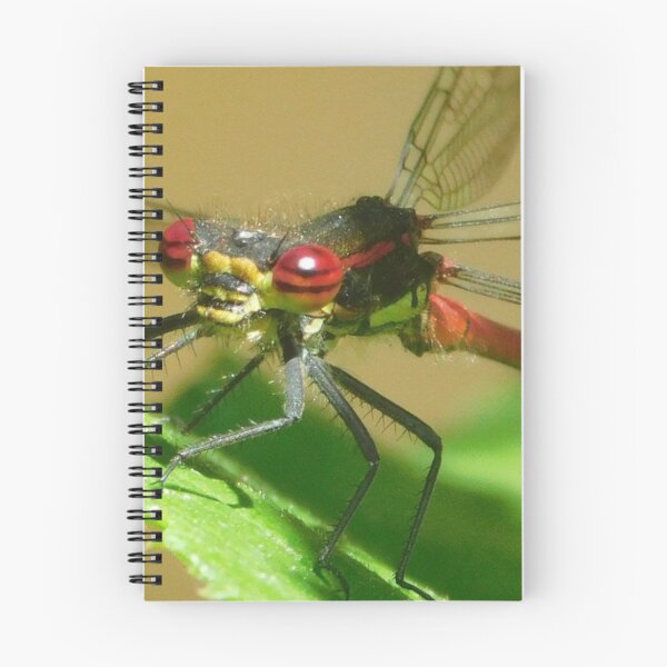 Item preview, Red Damselfly  designed and sold by Paws and Ink Art.
