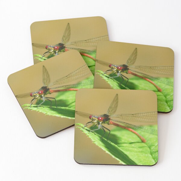 Item preview, Small Red Damselfly  designed and sold by Paws and Ink Art.