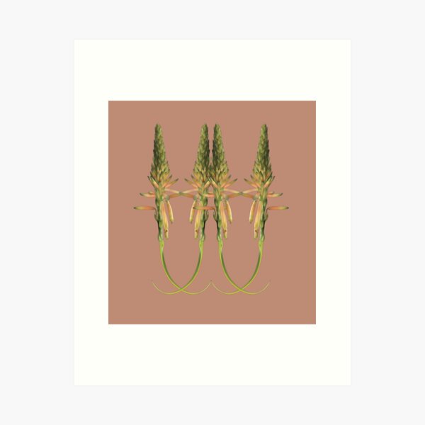Aloe Blossom Pattern Art Print