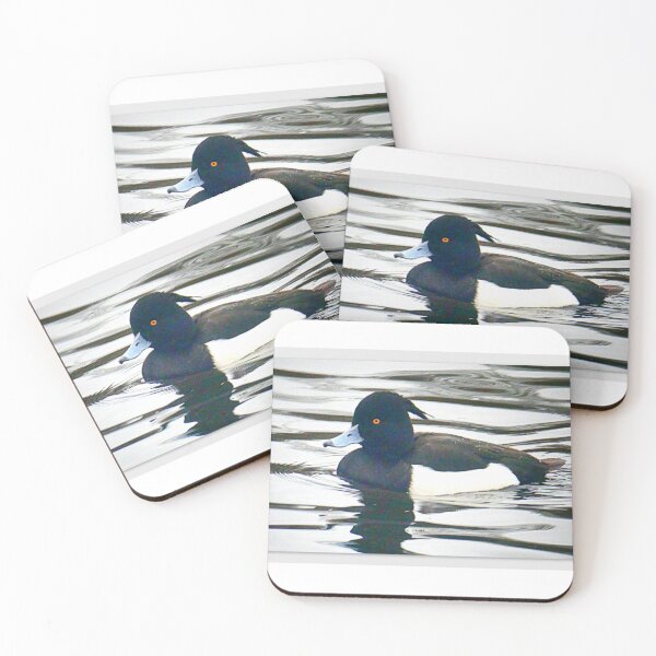 Item preview, Tufted duck designed and sold by angel1.