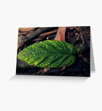 Leaf Litter Greeting Card
