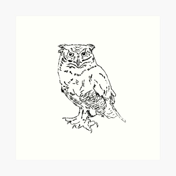 2023 01 birds 02 Art Print