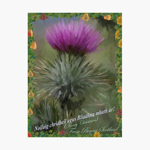 A Gaelic Christmas Card Photographic Print