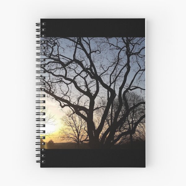 Item preview, Winter sky over Bryn Athyn photo#2 designed and sold by HelenPDesigns.