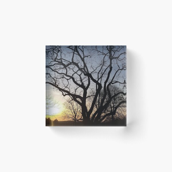 Item preview, Winter sky over Bryn Athyn photo#2 designed and sold by HelenPDesigns.