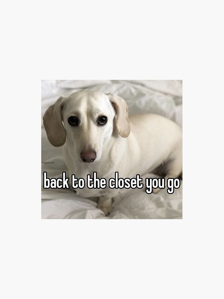 "back to the closet you go homophobic dog" Sticker for Sale by