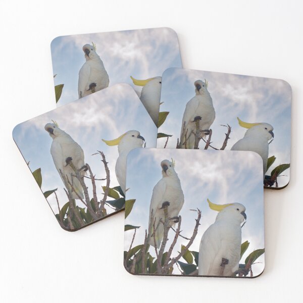 Item preview, Cockatoos designed and sold by Rick Knowles Photo Art.