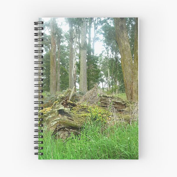 Item preview, *Old Stump "Fallen Beauty" - Trentham Falls, Vic. Aust.* designed and sold by EdsMum.