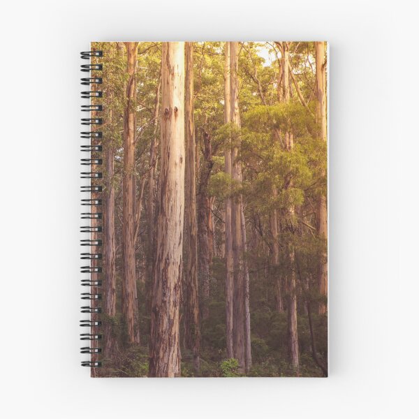 Item preview, Boranup Forest - Margaret River Region, Western Australia designed and sold by crossapple.