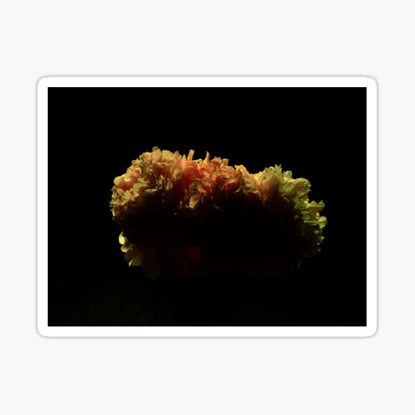 Electric peonies — yellow backlight Sticker