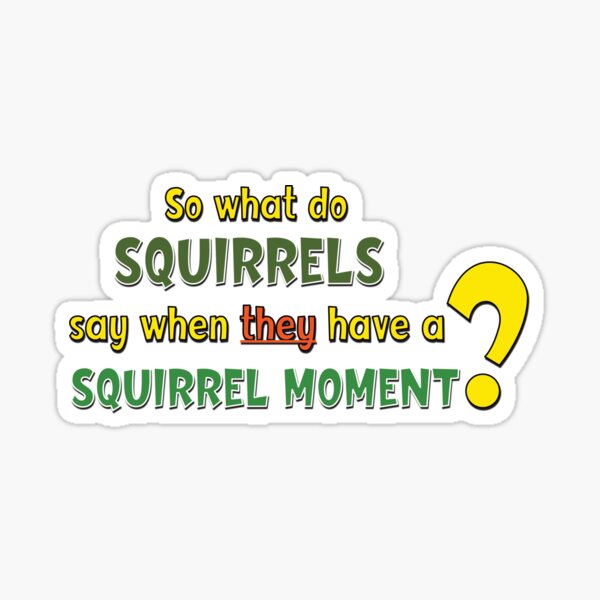 "What do squirrels say when they have a squirrel moment" Sticker for