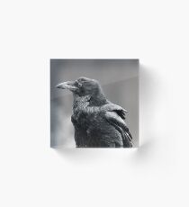Raven.2 Acrylic Block