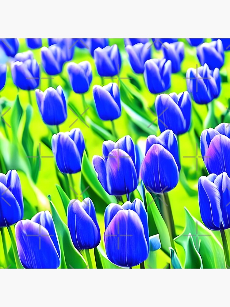 Beautiful blue tulips background | Poster