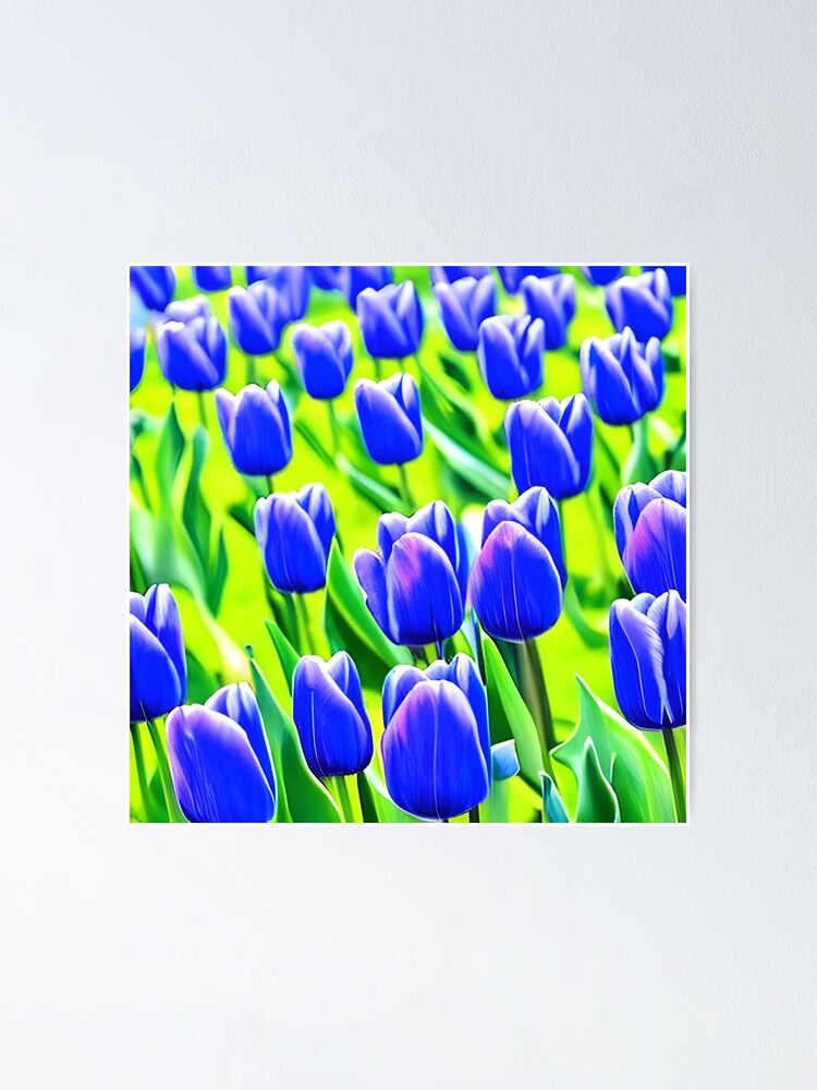 Beautiful blue tulips background | Poster