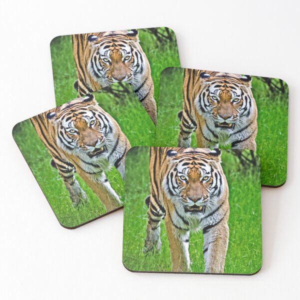Item preview, Siberian tigar designed and sold by Mitar70.