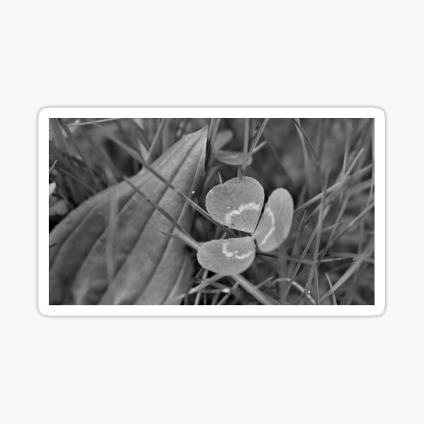 Schwarz-Weiß-Klee-Foto Sticker