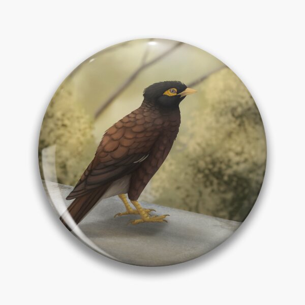 Item preview, Common myna designed and sold by DragonArtist15.