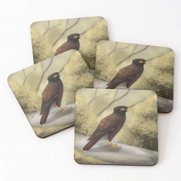 Item preview, Common myna designed and sold by DragonArtist15.