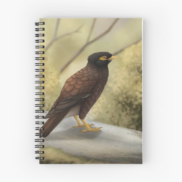 Item preview, Common myna designed and sold by DragonArtist15.