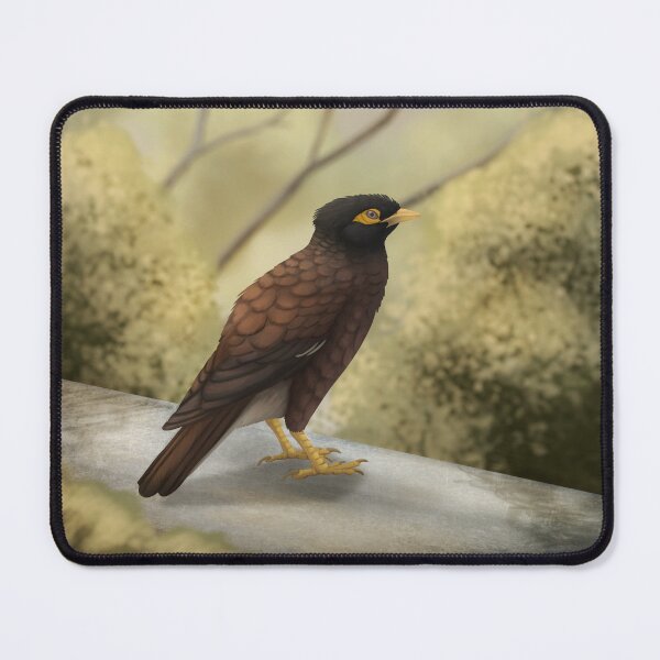Item preview, Common myna designed and sold by DragonArtist15.