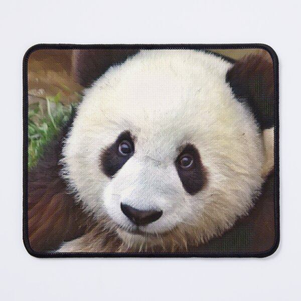 Item preview, Panda Face designed and sold by TheAnimalZ00.