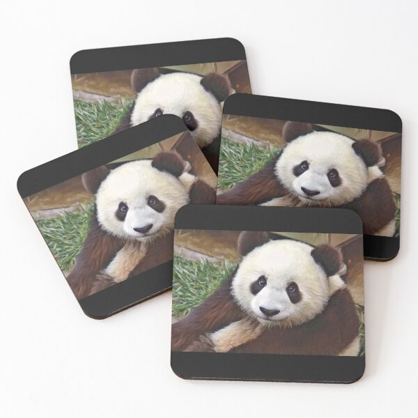 Item preview, Panda Face designed and sold by TheAnimalZ00.