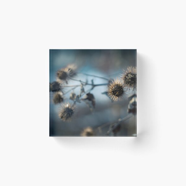 Item preview, Wild Thistle designed and sold by lghtwrkr.