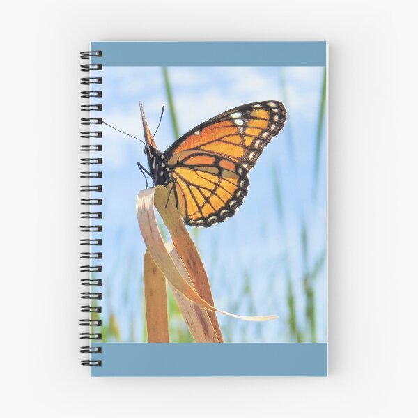 Item preview, Viceroy Butterfly designed and sold by MaryLinH.