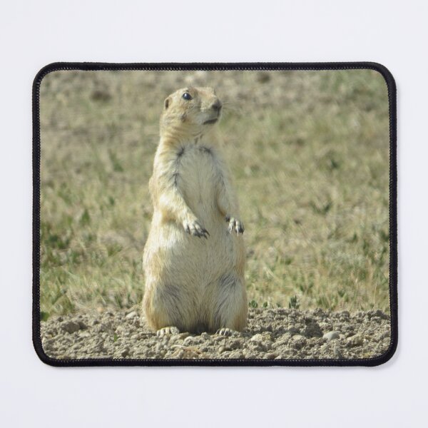 Item preview, Prairie Dog SD-3 designed and sold by MaryLinH.