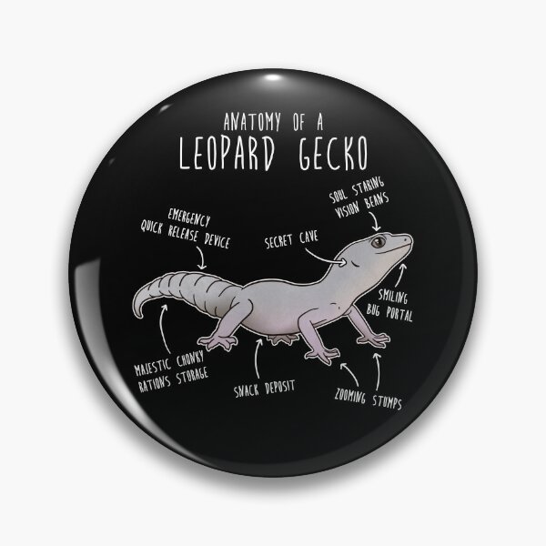 Item preview, Blizzard Leopard Gecko Lizard Reptile Anatomy designed and sold by Clara Hollins.